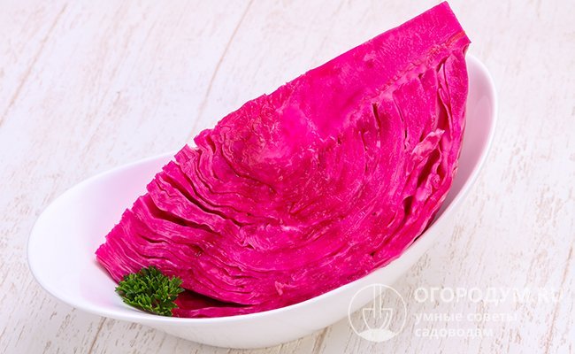 Цветная капуста со свеклой и специями