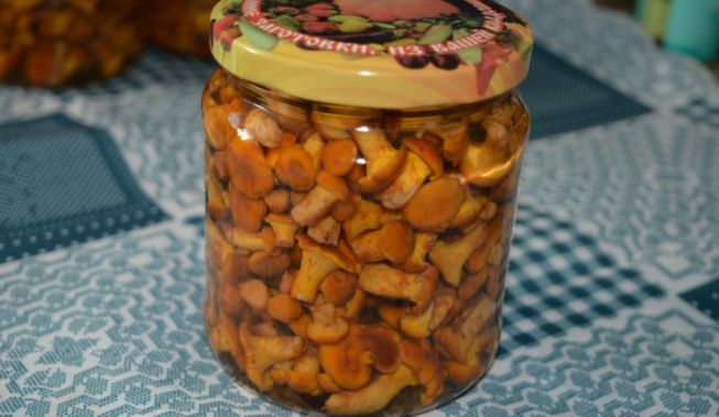 Маринованные лисички в банке на зиму