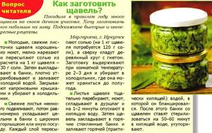 Как закрыть щавель в банках