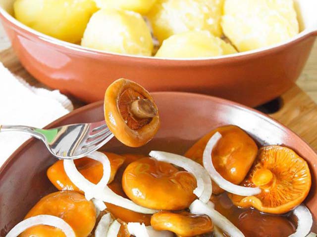 рыжики
