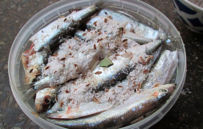 Как сушить маринованную кильку