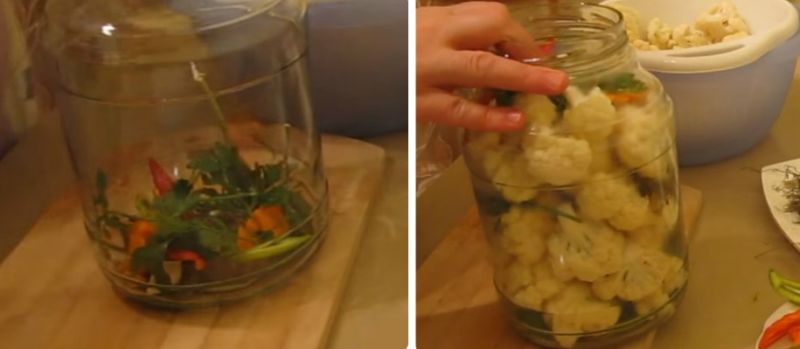 квашеная капуста быстрого приготовления