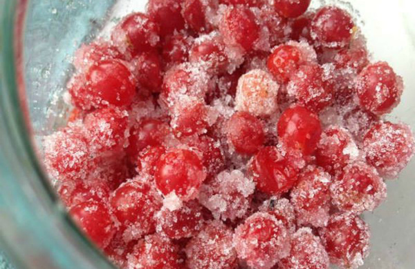 Калина с сахаром на зиму без варки