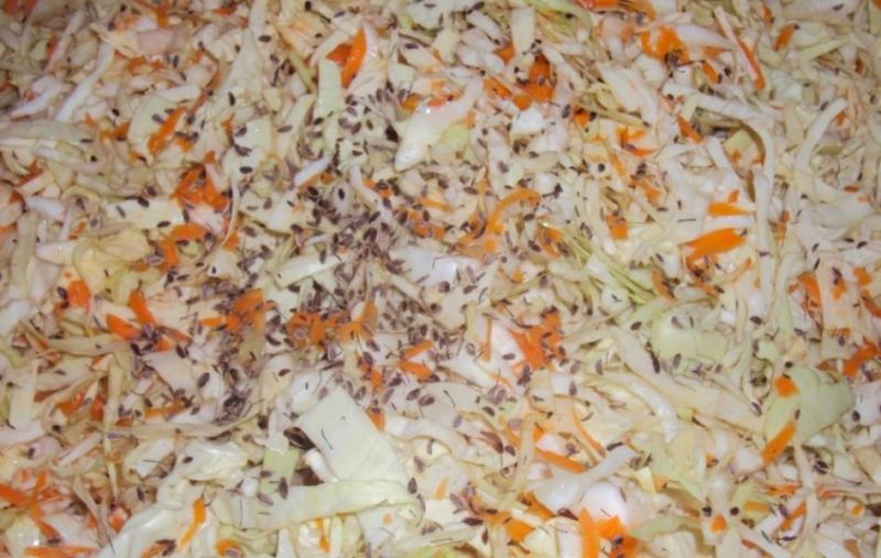 Маринованная капуста на зиму в банке: 10 лучших рецептов вкусной капусты 11 фазы
