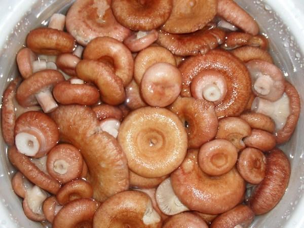 замачивание грибов