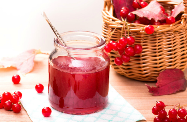 Рецепт киселя из калины на зиму
