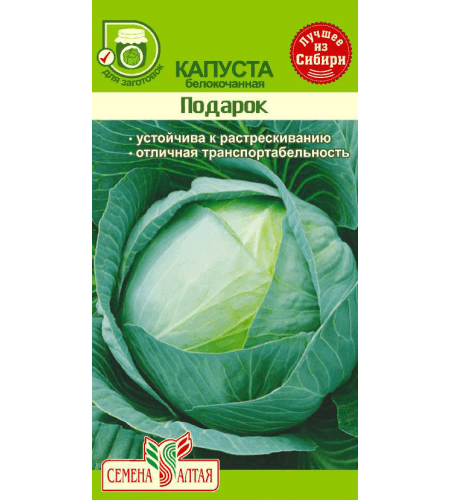 Капуста в подарок