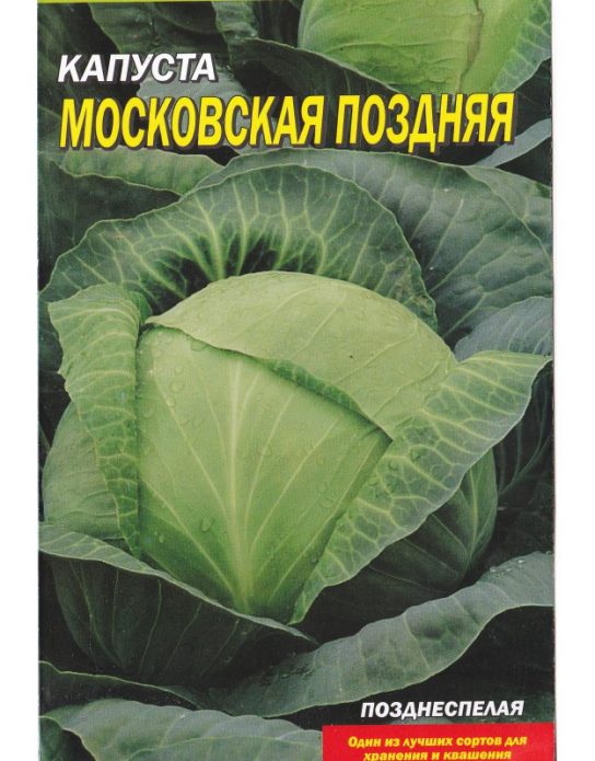 Поздняя московская капуста
