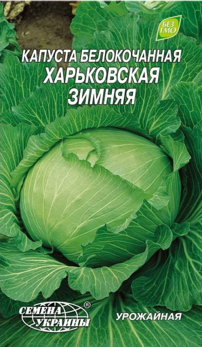 Харьковская озимая капуста