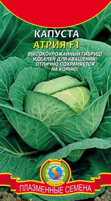 Капуста Атрия F1