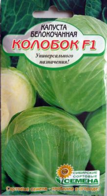 Сорта капусты колобок