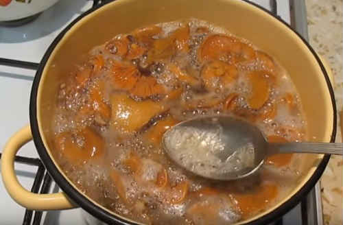 яблочные хлопья