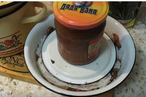 грибы