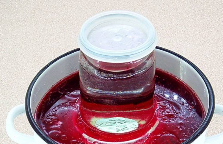 квашеная капуста со свеклой и морковью
