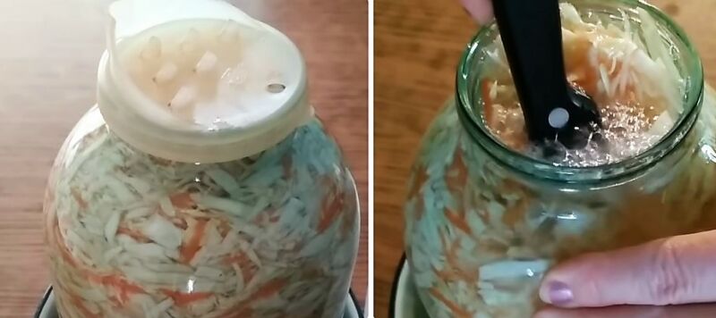 классическая квашеная капуста