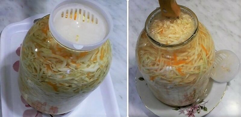 классическая квашеная капуста