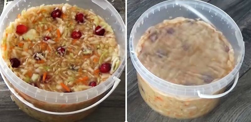 классическая квашеная капуста