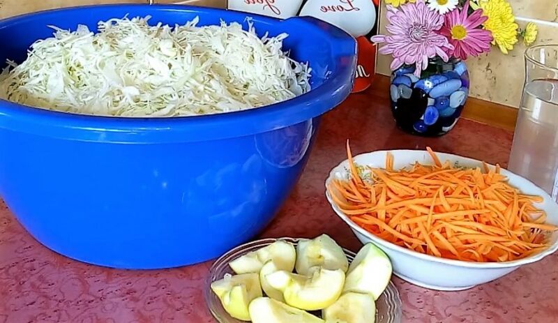 классическая квашеная капуста