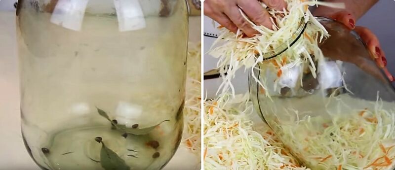 классическая квашеная капуста