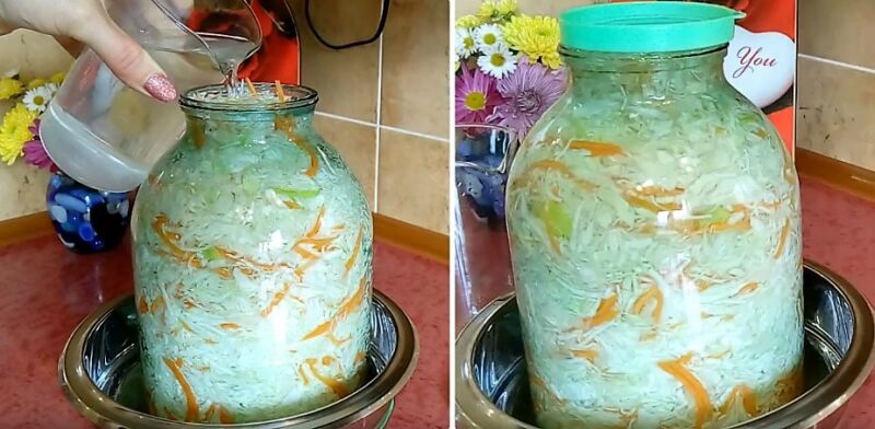 классическая квашеная капуста
