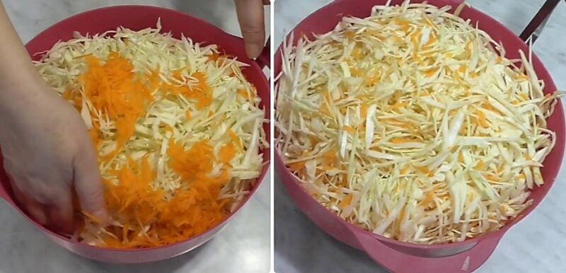классическая квашеная капуста