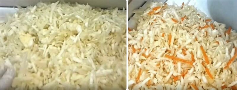 классическая квашеная капуста