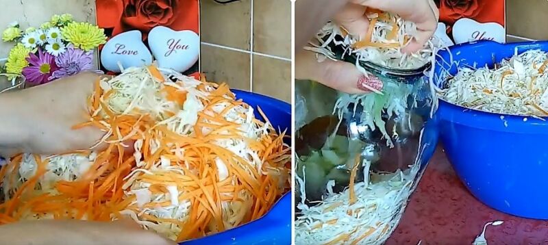 классическая квашеная капуста
