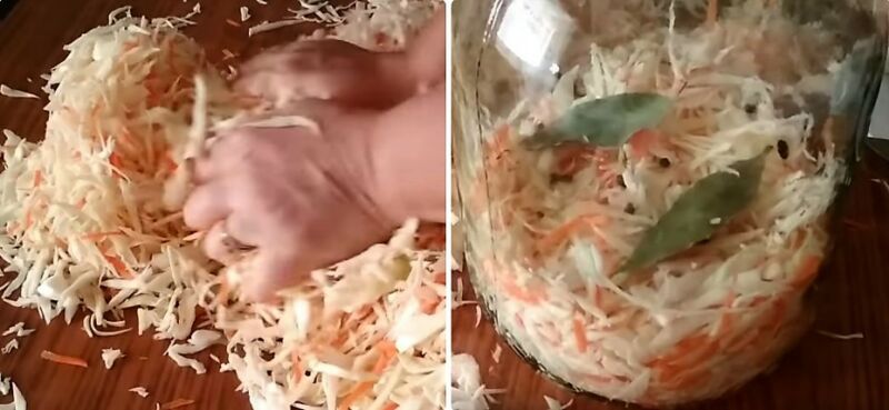 классическая квашеная капуста