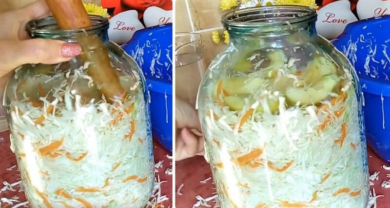 классическая квашеная капуста