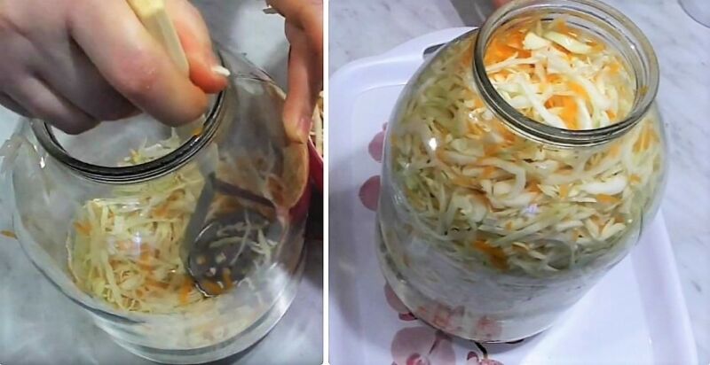 классическая квашеная капуста