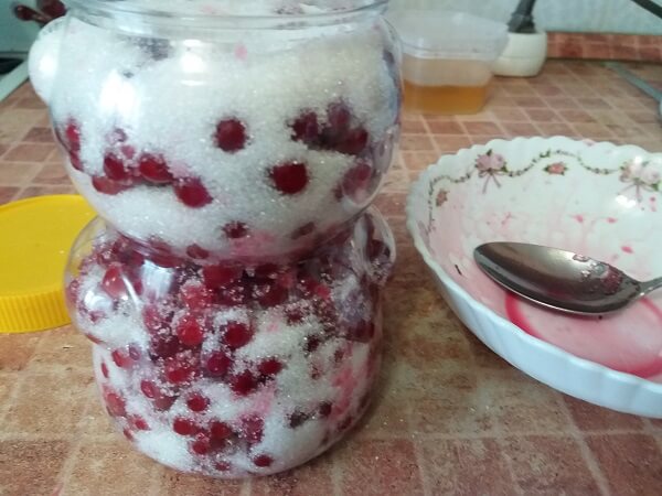 Ягоды калины посыпаем сахаром