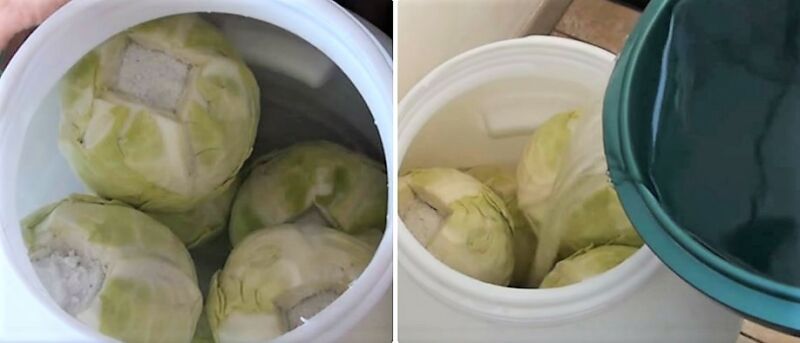 классическая квашеная капуста