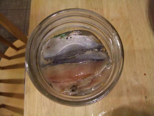 Домашняя килька килька, вкусные рецепты, полезные свойства