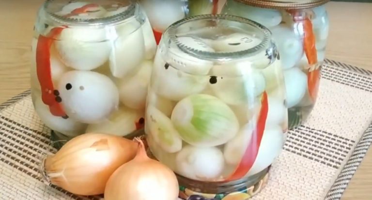 Маринованный лук на зиму в банке: 6 домашних рецептов