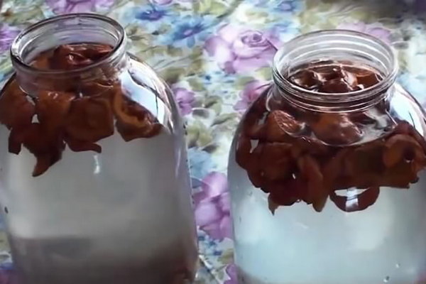 сок с курагой