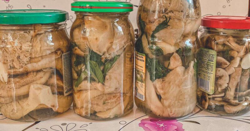 Маринованные грибы без уксуса на зиму