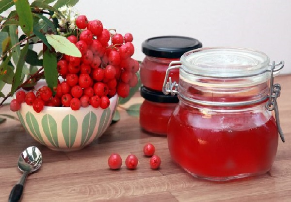 Желе из калины - и лакомство, и лекарство. Желе из калины готовим как десерт на зиму, без косточки и без варки, с тыквой и медом - екатерина данилова - женский журнал