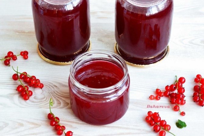 Холодец из калины на зиму без варки: рецепты
