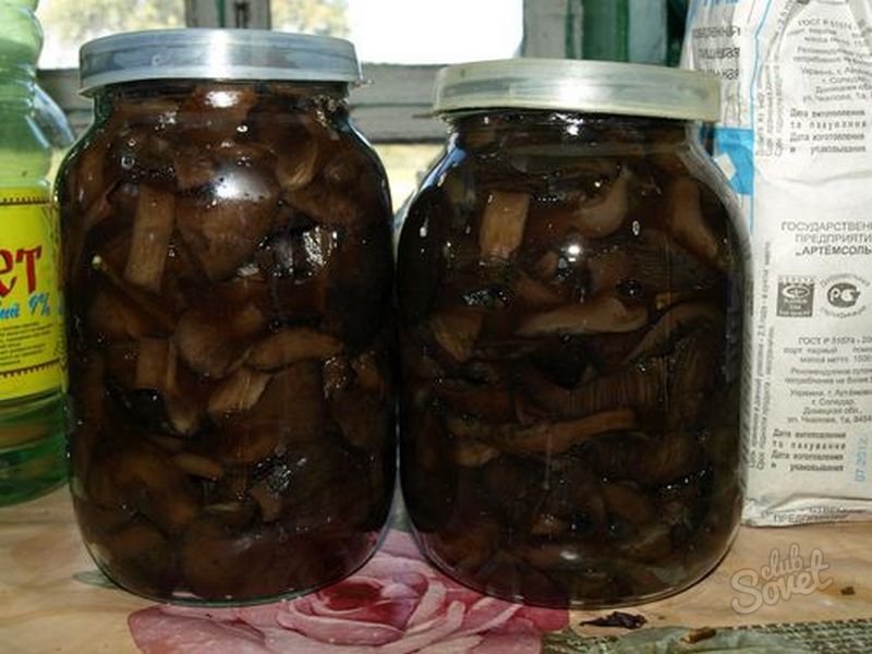 Как солить грибы в молоке, чтобы они стали хрустящими и ароматными