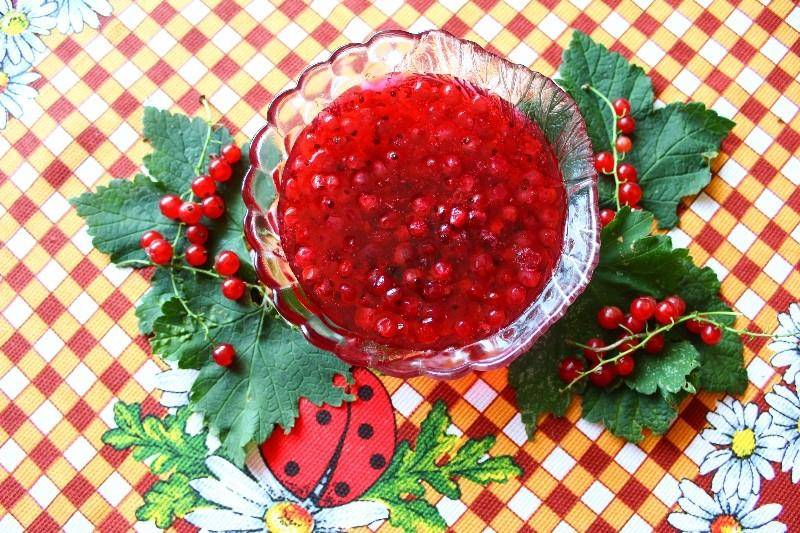 5 рецептов приготовления киселя из калины