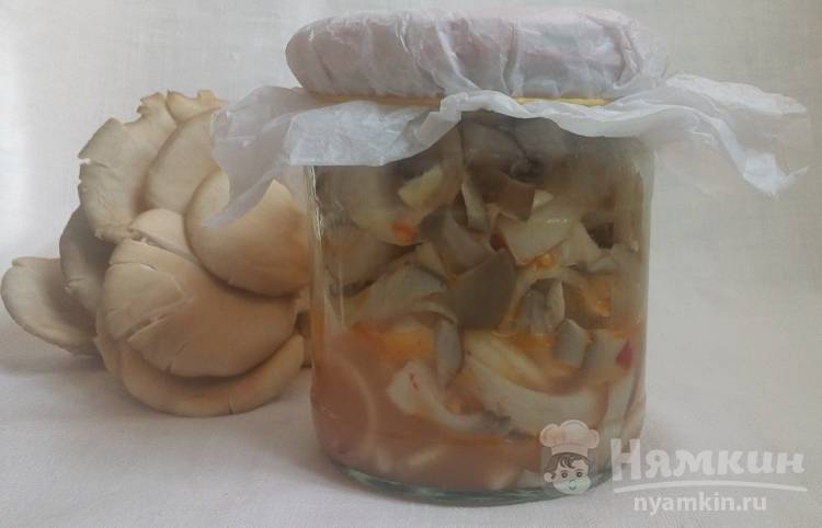 Как быстро и легко приготовить вешенки по-корейски? вкусные рецепты