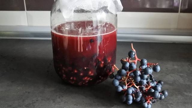 Винный уксус - полезные свойства и секреты применения