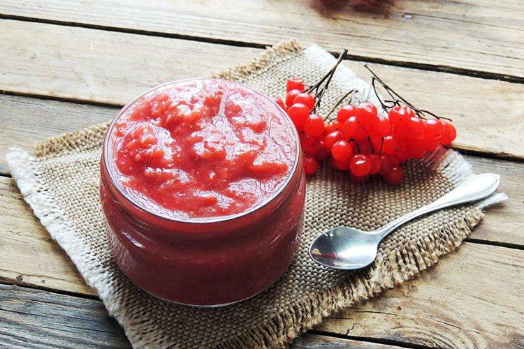 Калина красная на зиму: домашние заготовки (рецепты варенья, повидла, киселя, с сахаром без варки, сока без кипячения, вина)
