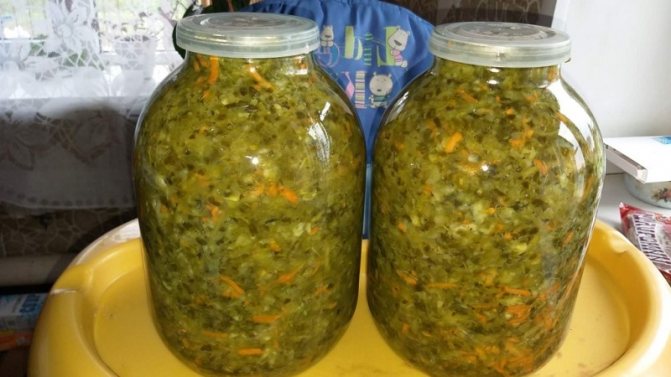 Как приготовить квашеную капусту с серой капустой: рецепты, которые пригодятся многим хозяйкам