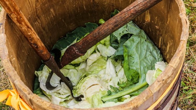 Как приготовить квашеную капусту с серой капустой: рецепты, которые пригодятся многим хозяйкам