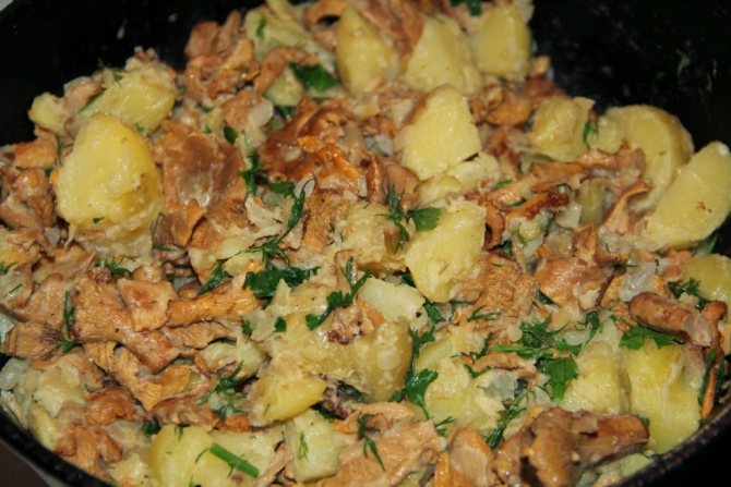 Как пожарить лисички на сковороде с картошкой