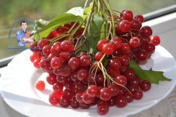 Пюре из калины с сахаром