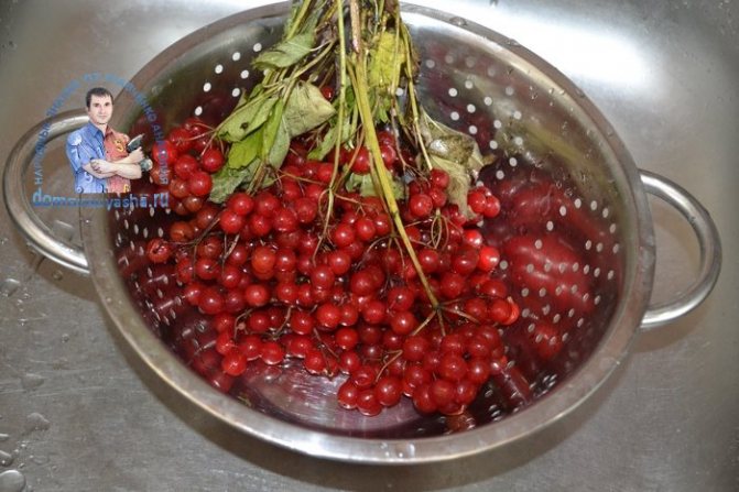 Пюре из калины с сахаром