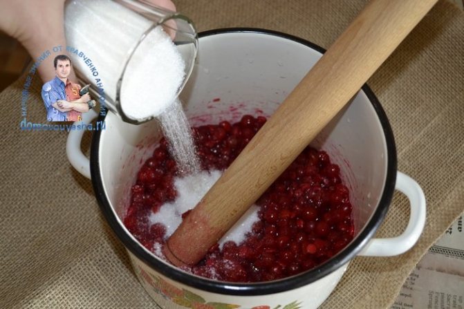 Пюре из калины с сахаром