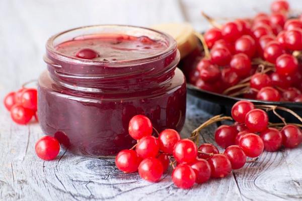 Калина с сахаром на зиму без варки - рецепты